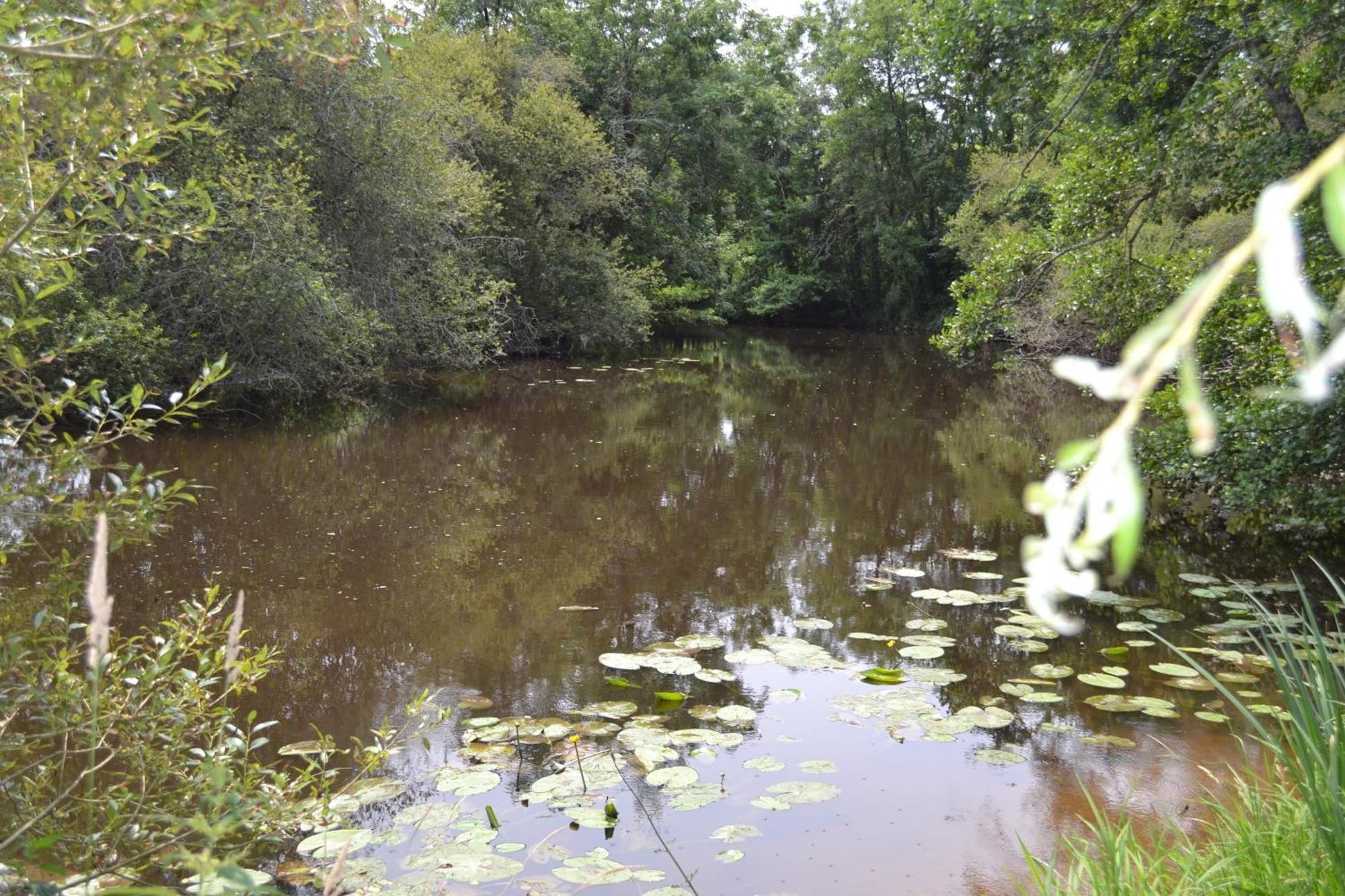 Les Bruyeres B&B 2 Montbron Kültér fotó